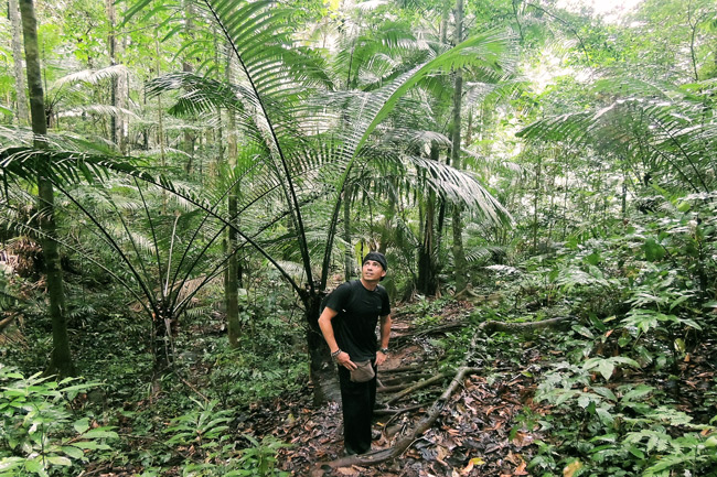 malasia
