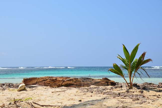 san blas 