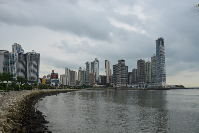 dsc_8579