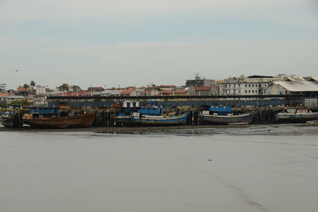 dsc_8595