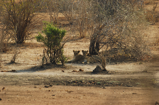 africa-1058