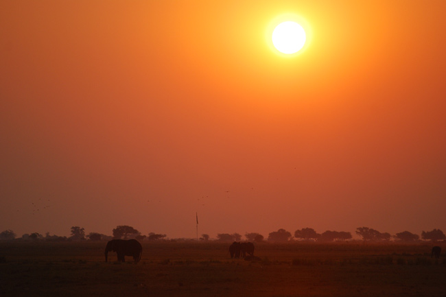africa-969