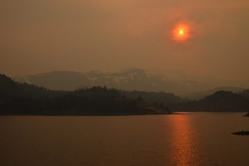 Sonora