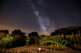 Bosque encantado de Madrid