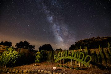 Bosque encantado de Madrid