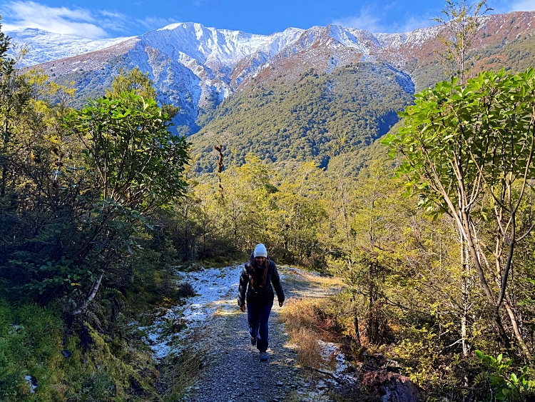 nueva zelanda