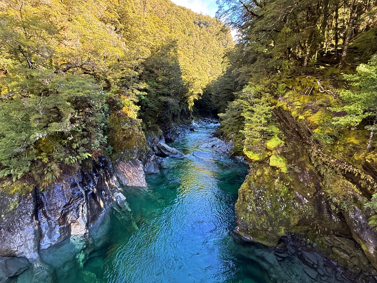 nueva zelanda